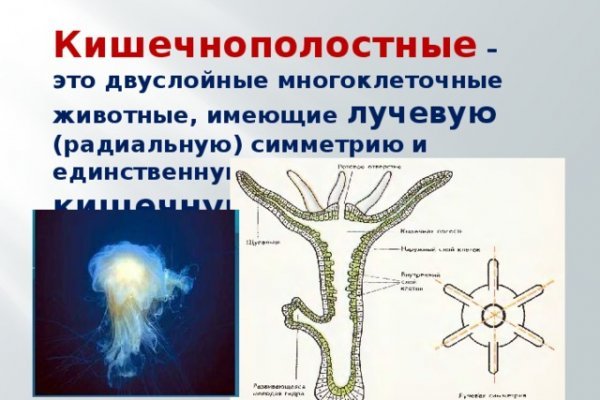 Кракен маркетплейс вход