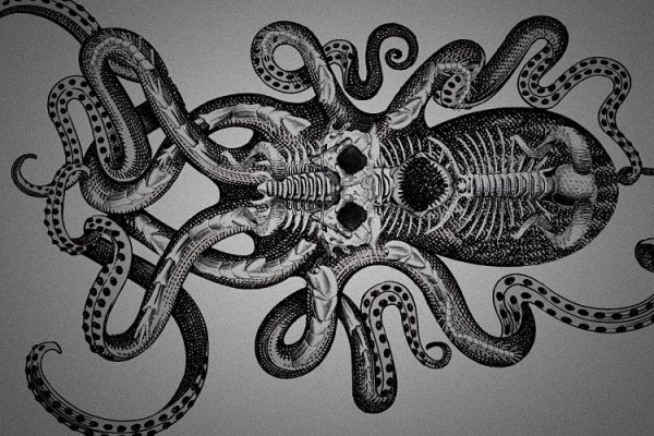 Kraken19at