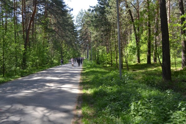 Ссылки на кракен маркетплейс